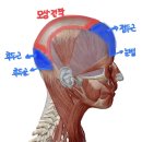 엘 스킨케어