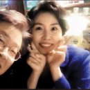 ((긴급공지)) 서울고법 '리재명 재판 다시 설정' 한다 재판은 해야된다는 결론 !!! 이미지