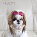 미용일가