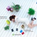 로켓PC 이미지