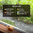 스테이노은 이미지