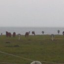 일출언덕신산게스트하우스 이미지