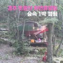 토함산 자연휴양림 | 경주 캠핑장 토함산 자연휴양림 야영장 여름끝자락 1박 후기