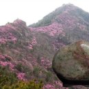 춘하추동