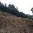 대지를 바라보며 이미지