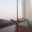 우면생태놀이터 이미지