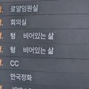 안국 | 비어있는 삶 카페 텅, 창덕궁과 남산타워가 한눈에 보이는 서울 뷰 좋은 카페 후기