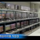 테라오토
