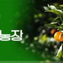 지연농장 이미지