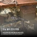연못이 있는 집 | 한남동 해산물 주점 물터 연못 있는 분위기 맛집 후기