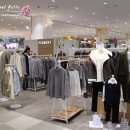 롯데아울렛피그먼트 이미지