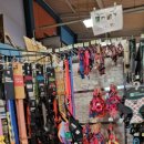 한국특수탐지견센터 이미지