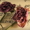 신매초등학교 이미지