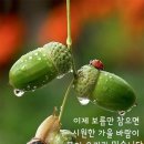 주말라인댄스(토) 이미지