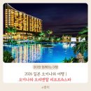 2026 일본 오키나와 여행 | 오키나와 중북부 숙소 추천 아이랑 가기 좋은 호텔 오키나와 오리엔탈...