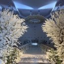 이베리스 | 메리다 웨딩컨벤션 홀투어 이베리스홀 후기