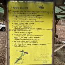 금물산하늘소캠핑장 이미지