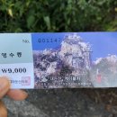 대둔산 호텔 | 대둔산 후기