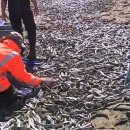 수천목장 이미지