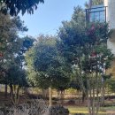 푸른숲리조트 이미지