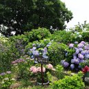 수국정원 이미지