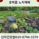 광명탕제원 네이버블로그