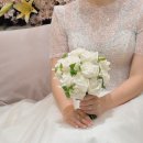 자네뜨 - 부산진구 중앙대로 737 | 자네뜨