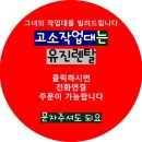 향남로 이미지