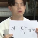 인동녹차연잎왕만두