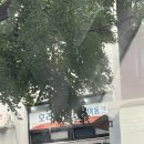 모리아 지역아동센터 이미지