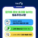 맘하나로 이미지