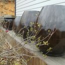 농부보따리 이미지