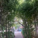 중앙공원 산책로 이미지