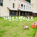 가평오즈펫리조트 | 가평애견동반펜션 가평펜션추천 가평오즈펫리조트