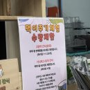 나만고양이없어 | 마을 성수협력점&#34; 방문후기_나만 없어 고양이 인간에게 천국과도 같은곳(나도 방문하면 고냥이계 인기...