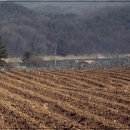 로하스민박 | 가성비 최고의 국내 여행지 추천 &amp; 후기! 교통, 숙소, 맛집 총정리