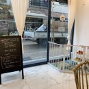 커들리 독 이미지