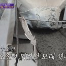 용신목장 이미지