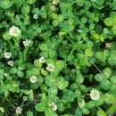 소촌로123번길 이미지