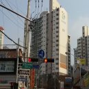 보식골로 이미지