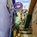 서산동 시화골목 이미지