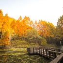 장태산자연휴양림 이미지