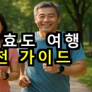 백암카서비스 | 국내 효도 여행 추천 가이드 2025 👪