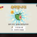 용의꼬리 이미지