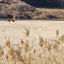 우곡식당 이미지