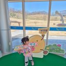 모텔시골선비 | 아이와 영주여행, 3박4일 추천관광지 &amp; 숙소 총정리