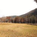 모꼬지마을 이미지