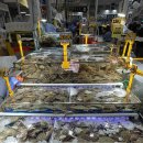 동이수산 | [맛집] 수원농수산물시장 대게 맛집, 오양수산 꽃게 리얼 후기