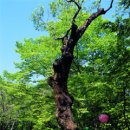 금광여관 이미지