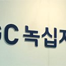 헌재, ‘녹십자 백신 입찰담합’ 전원재판부 첫 회부... 재판소원 1호 사건
